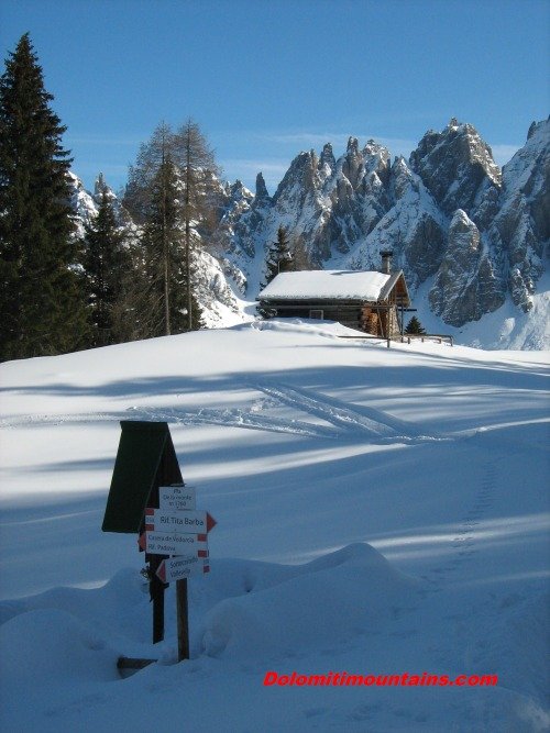 Particular from Vedorcia in winter